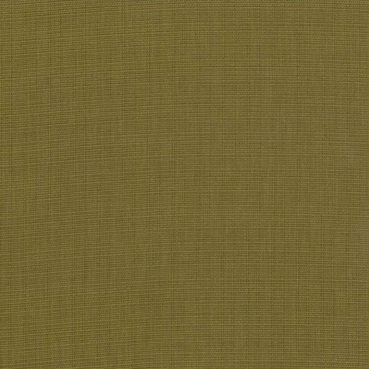 Auberge Olive by Kasmir Fabric 5055 100% Polyester
 TAIWAN </p><p>Repeat: Horizontal: N/A and Vertical: N/A 59 - 60 - Fabric Carolina -