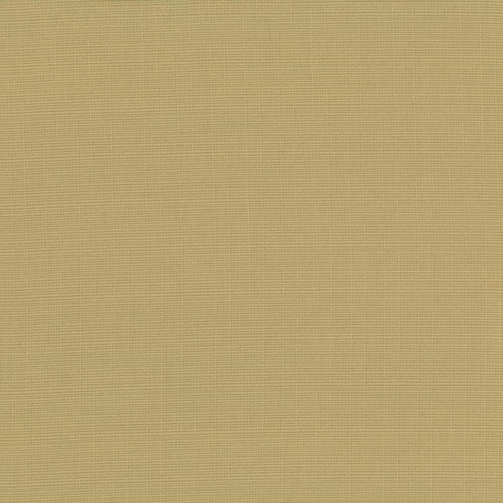 Auberge Taffy by Kasmir Fabric 5055 100% Polyester
 TAIWAN 100,000 Wyzenbeek Double Rubs </p><p>Repeat: Horizontal: N/A and Vertical: N/A 59 - Fabric Carolina -