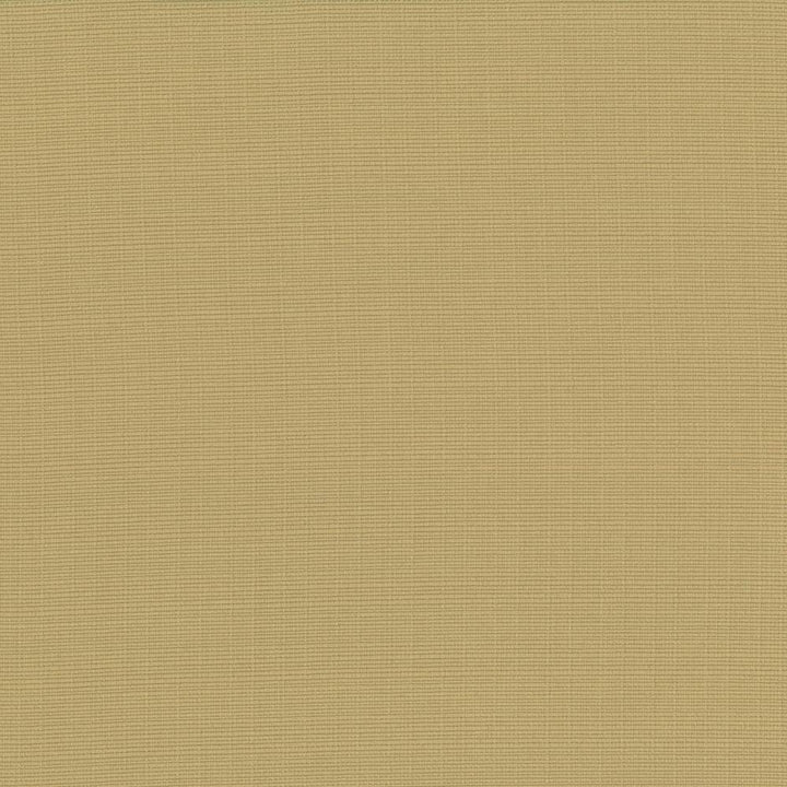Auberge Taffy by Kasmir Fabric 5055 100% Polyester
 TAIWAN </p><p>Repeat: Horizontal: N/A and Vertical: N/A 59 - 60 - Fabric Carolina -