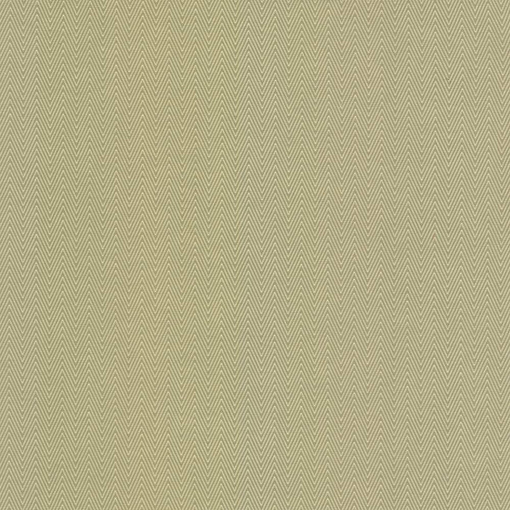 Aventura Aloe by Kasmir Fabric 5099 52% Polyester 48% Cotton INDIA 50,000 Wyzenbeek Double Rubs H: 1 inches, V:2/8 inches 54 - 55 - Fabric Carolina - Kasmir