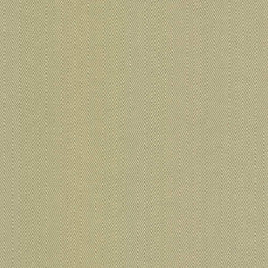 Aventura Aloe by Kasmir Fabric