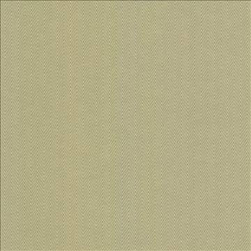 Aventura Aloe by Kasmir Fabric 5099 52% Polyester 48% Cotton INDIA 50,000 Wyzenbeek Double Rubs H: 1 inches, V: 2/8 inches 54 - 55 - Fabric Carolina - Kasmir