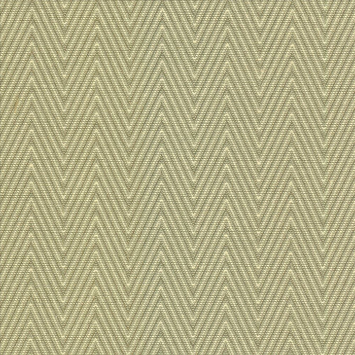Aventura Aloe  by Kasmir Fabric See sample 52% Polyester
48% Cotton
 INDIA 50,000 Wyzenbeek Double Rubs </p><p>Repeat: Horizontal: 1 inches and Vertical: 2/8 inches 54  - Fabric Carolina -