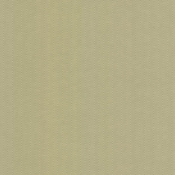 Aventura Aloe by Kasmir Fabric 5099 52% Polyester
48% Cotton
 INDIA </p><p>Repeat: Horizontal: 1 inches and Vertical: 2/8 inches 54 - 55 - Fabric Carolina -