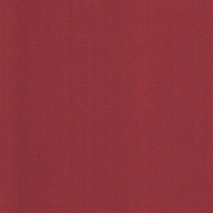 Aventura Begonia by Kasmir Fabric 5095 52% Polyester 48% Cotton INDIA 50,000 Wyzenbeek Double Rubs H: 1 inches, V:2/8 inches 54 - 55 - Fabric Carolina - Kasmir