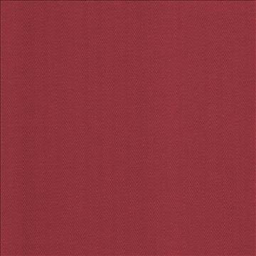 Aventura Begonia by Kasmir Fabric 5095 52% Polyester 48% Cotton INDIA 50,000 Wyzenbeek Double Rubs H: 1 inches, V: 2/8 inches 54 - 55 - Fabric Carolina - Kasmir