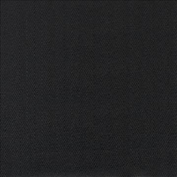 Aventura Black by Kasmir Fabric 5101 52% Polyester 48% Cotton INDIA 50,000 Wyzenbeek Double Rubs H: 1 inches, V: 2/8 inches 54 - 55 - Fabric Carolina - Kasmir
