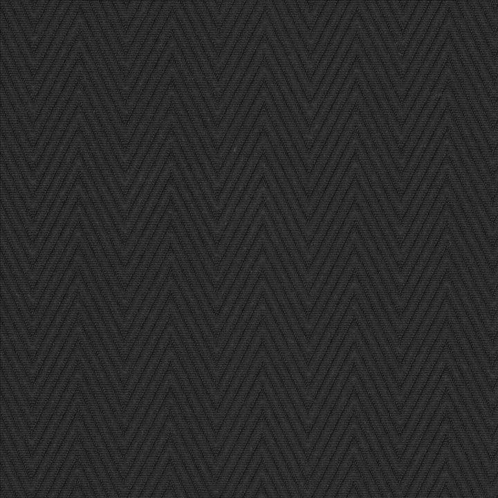 Aventura Black by Kasmir Fabric 5101 52% Polyester
48% Cotton
 INDIA 50,000 Wyzenbeek Double Rubs </p><p>Repeat: Horizontal: 1 inches and Vertical: 2/8 inches 54 - Fabric Carolina -