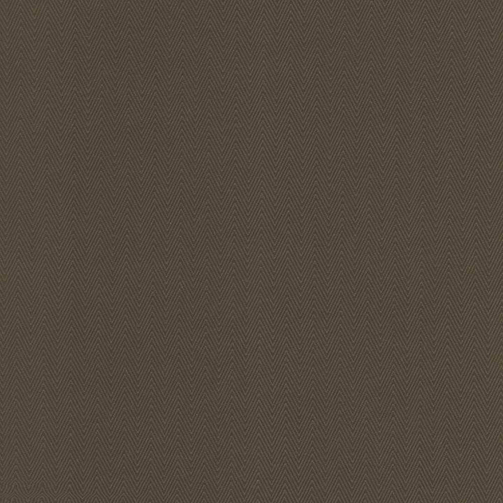 Aventura Chocolate by Kasmir Fabric 5101 52% Polyester 48% Cotton INDIA 50,000 Wyzenbeek Double Rubs H: 1 inches, V:2/8 inches 54 - 55 - Fabric Carolina - Kasmir