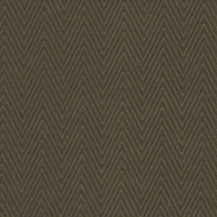 Aventura Chocolate by Kasmir Fabric 5101 52% Polyester
48% Cotton
 INDIA 50,000 Wyzenbeek Double Rubs </p><p>Repeat: Horizontal: 1 inches and Vertical: 2/8 inches 54 - Fabric Carolina -