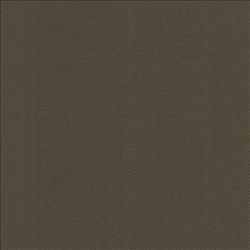 Aventura Chocolate by Kasmir Fabric 5101 52% Polyester 48% Cotton INDIA 50,000 Wyzenbeek Double Rubs H: 1 inches, V: 2/8 inches 54 - 55 - Fabric Carolina - Kasmir