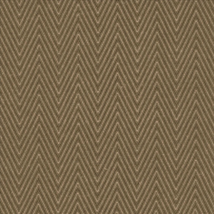 Aventura Cocoa by Kasmir Fabric 5093 52% Polyester 48% Cotton INDIA 50,000 Wyzenbeek Double Rubs Horizontal: 1 inches and Vertical: 2/8 inches 54 - 55 - Fabric Carolina -