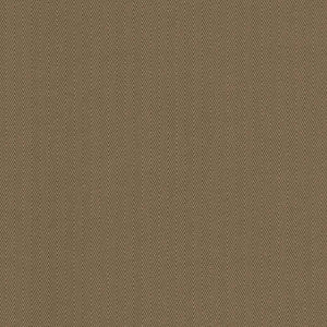 Aventura Cocoa by Kasmir Fabric