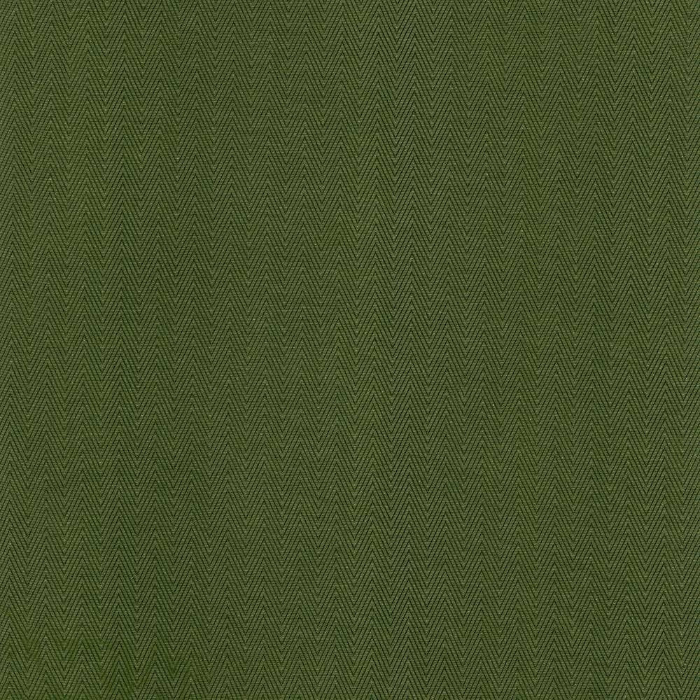 Aventura Green by Kasmir Fabric 5099 52% Polyester 48% Cotton INDIA 50,000 Wyzenbeek Double Rubs H: 1 inches, V:2/8 inches 54 - 55 - Fabric Carolina - Kasmir