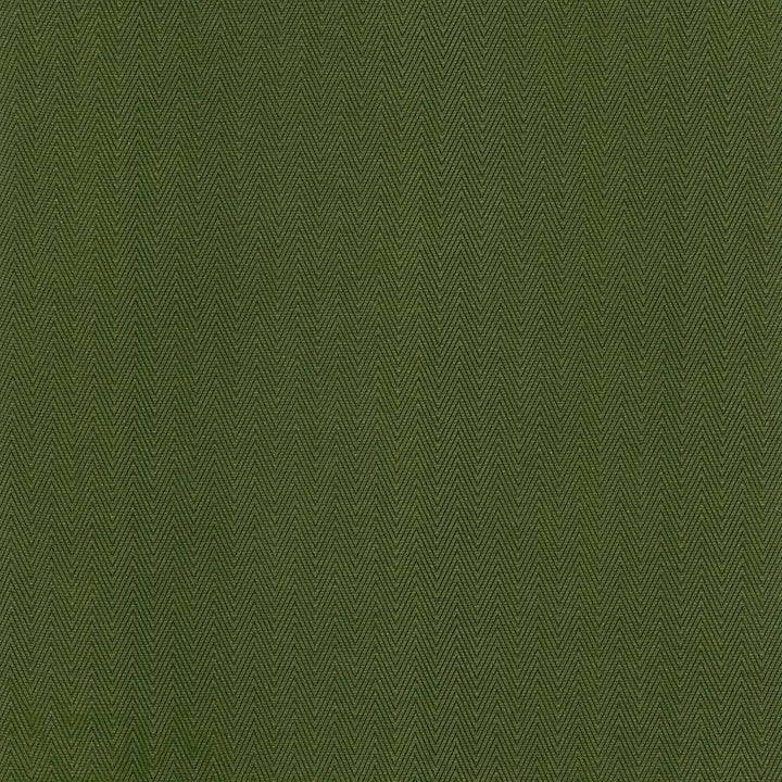 Aventura Green by Kasmir Fabric 5099 52% Polyester 48% Cotton INDIA 50,000 Wyzenbeek Double Rubs H: 1 inches, V:2/8 inches 54 - 55 - Fabric Carolina - Kasmir