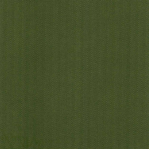 Aventura Green by Kasmir Fabric