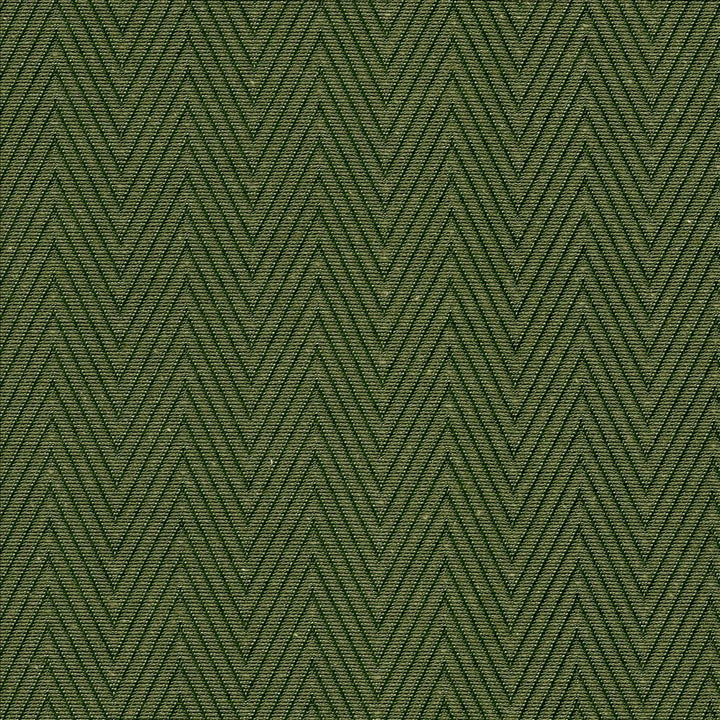 Aventura Green by Kasmir Fabric 5099 52% Polyester
48% Cotton
 INDIA 50,000 Wyzenbeek Double Rubs Horizontal: 1 inches and Vertical: 2/8 inches 54 - Fabric Carolina -