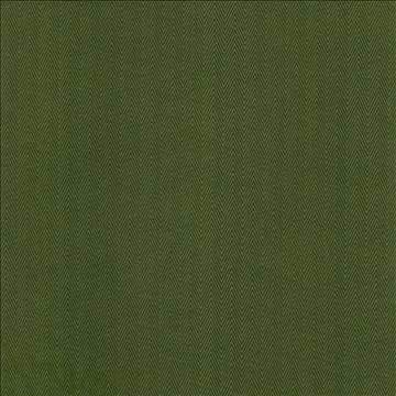 Aventura Green by Kasmir Fabric 5099 52% Polyester 48% Cotton INDIA 50,000 Wyzenbeek Double Rubs H: 1 inches, V: 2/8 inches 54 - 55 - Fabric Carolina - Kasmir