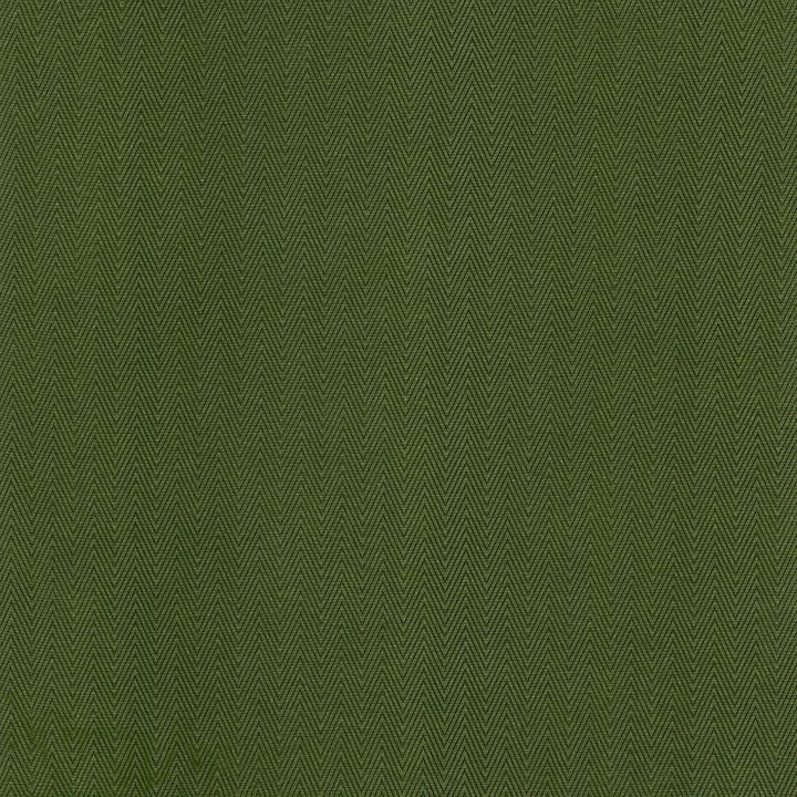 Aventura Green by Kasmir Fabric 5099 52% Polyester
48% Cotton
 INDIA </p><p>Repeat: Horizontal: 1 inches and Vertical: 2/8 inches 54 - 55 - Fabric Carolina -