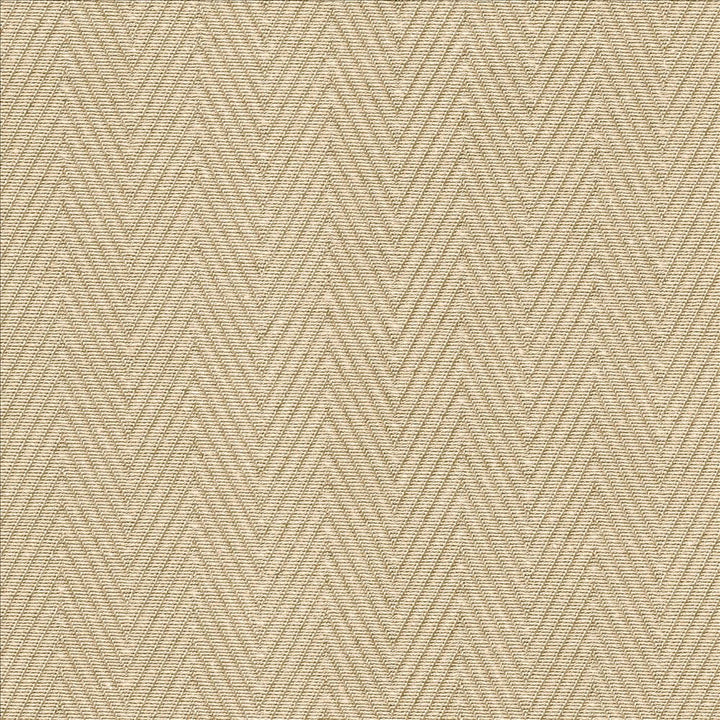 Aventura Sand by Kasmir Fabric 5093 52% Polyester
48% Cotton
 INDIA </p><p>Repeat: Horizontal: 1 inches and Vertical: 2/8 inches 54 - 55 - Fabric Carolina -