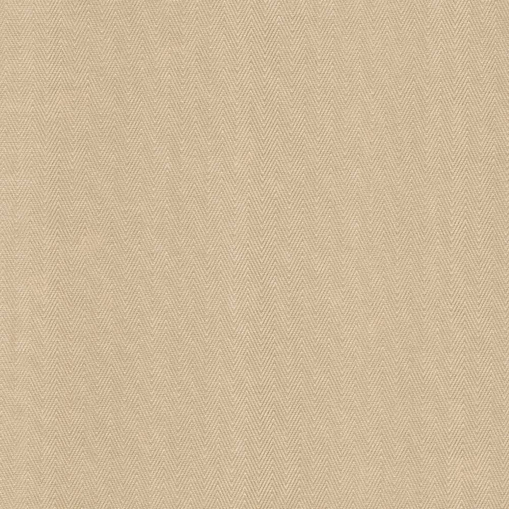 Aventura Sand by Kasmir Fabric 5093 52% Polyester 48% Cotton INDIA 50,000 Wyzenbeek Double Rubs H: 1 inches, V:2/8 inches 54 - 55 - Fabric Carolina - Kasmir