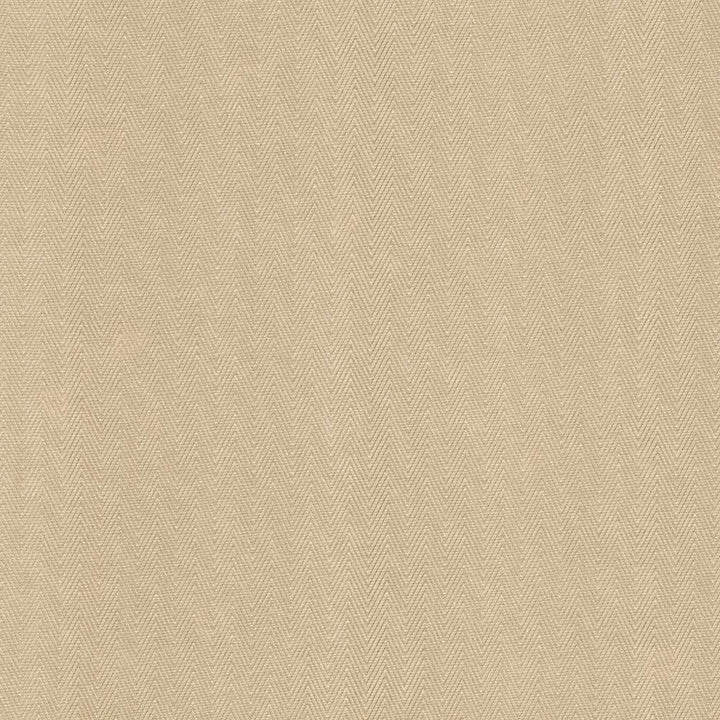 Aventura Sand by Kasmir Fabric 5093 52% Polyester
48% Cotton
 INDIA </p><p>Repeat: Horizontal: 1 inches and Vertical: 2/8 inches 54 - 55 - Fabric Carolina -