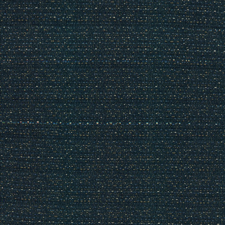 Averly Denim by Kasmir Fabric 5159 100% Polyester CHINA 50,000 Wyzenbeek Double Rubs Horizontal: 0 Inches and Vertical: 0 Inches 54 - Fabric Carolina -