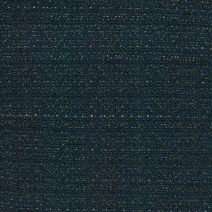 Averly Denim by Kasmir Fabric
