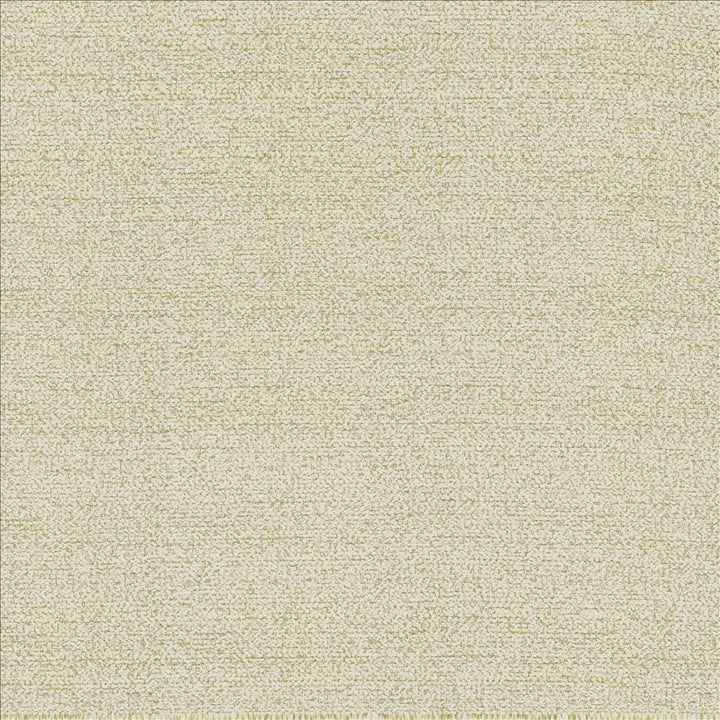 Averly Eggshell by Kasmir Fabric 5159 100% Polyester
 CHINA </p><p>Repeat: Horizontal: N/A and Vertical: N/A 54 - Fabric Carolina -