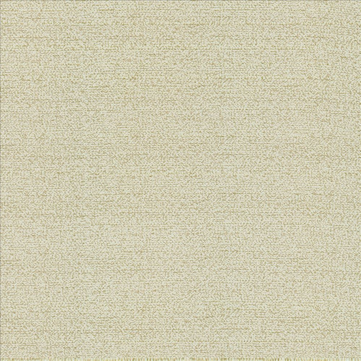 Averly Eggshell by Kasmir Fabric 5159 100% Polyester
 CHINA 50,000 Wyzenbeek Double Rubs </p><p>Repeat: Horizontal: N/A and Vertical: N/A 54 - Fabric Carolina -