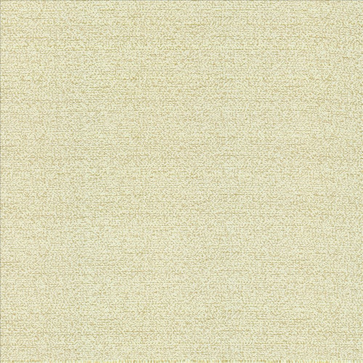 Averly Eggshell by Kasmir Fabric 5159 100% Polyester CHINA 50,000 Wyzenbeek Double Rubs Horizontal: 0 Inches and Vertical: 0 Inches 54 - Fabric Carolina -