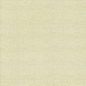 Averly Eggshell by Kasmir Fabric