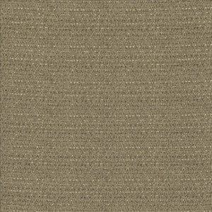 Averly Linen by Kasmir Fabric