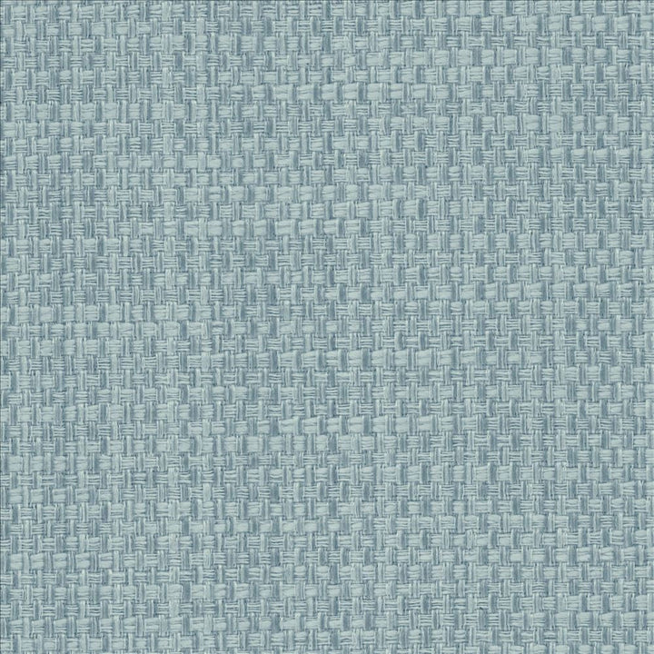 Avino Aquamarine  by Kasmir Fabric See sample 64% Cotton
36% Polyester
 CHINA 50,000 Wyzenbeek Double Rubs </p><p>Repeat: Horizontal: N/A and Vertical: N/A 55  - Fabric Carolina -