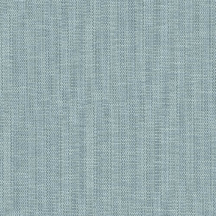 Avino Aquamarine by Kasmir Fabric 5098 64% Cotton
36% Polyester
 CHINA </p><p>Repeat: Horizontal: N/A and Vertical: N/A 55 - Fabric Carolina -