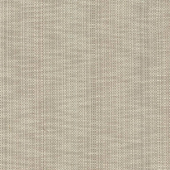 Avino Birch by Kasmir Fabric 5092 64% Cotton 36% Polyester CHINA 50,000 Wyzenbeek Double Rubs H: N/A, V:N/A 55 - Fabric Carolina - Kasmir