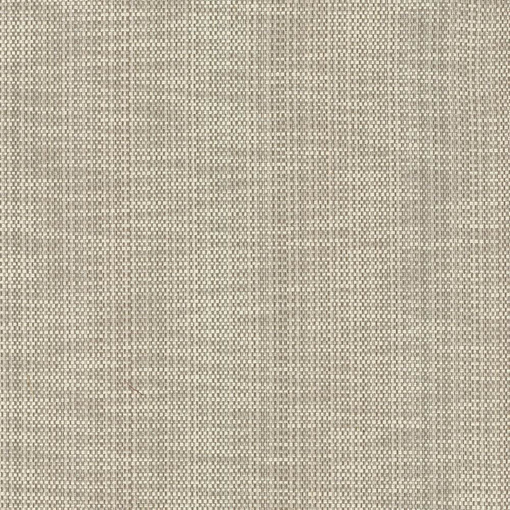 Avino Birch by Kasmir Fabric 5092 64% Cotton
36% Polyester
 CHINA </p><p>Repeat: Horizontal: N/A and Vertical: N/A 55 - Fabric Carolina -