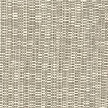Avino Birch by Kasmir Fabric 5092 64% Cotton 36% Polyester CHINA 50,000 Wyzenbeek Double Rubs H: N/A, V: N/A 55 - Fabric Carolina - Kasmir