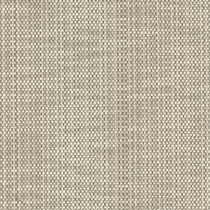Avino Birch by Kasmir Fabric 5092 64% Cotton
36% Polyester
 CHINA </p><p>Repeat: Horizontal: N/A and Vertical: N/A 55 - Fabric Carolina -