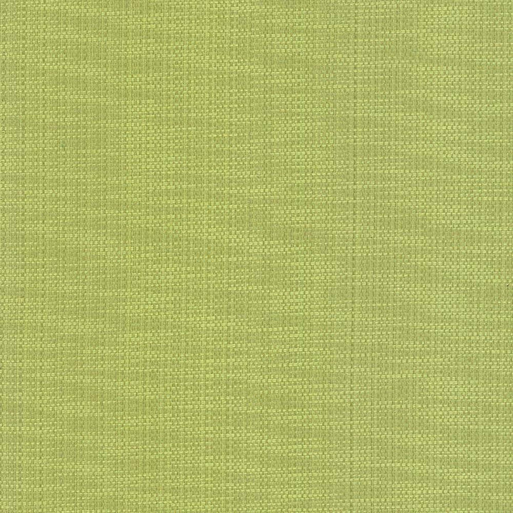 Avino Endive by Kasmir Fabric 5099 64% Cotton 36% Polyester CHINA 50,000 Wyzenbeek Double Rubs H: N/A, V:N/A 55 - Fabric Carolina - Kasmir