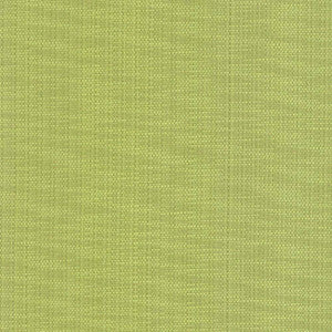 Avino Endive by Kasmir Fabric