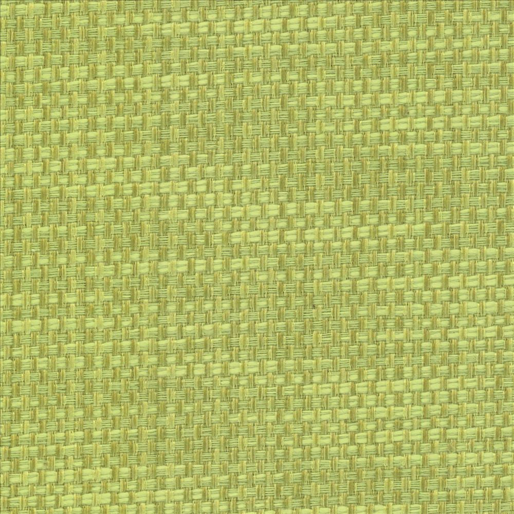 Avino Endive by Kasmir Fabric 5099 64% Cotton
36% Polyester
 CHINA 50,000 Wyzenbeek Double Rubs </p><p>Repeat: Horizontal: N/A and Vertical: N/A 55 - Fabric Carolina -