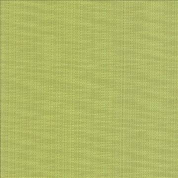 Avino Endive by Kasmir Fabric 5099 64% Cotton 36% Polyester CHINA 50,000 Wyzenbeek Double Rubs H: N/A, V: N/A 55 - Fabric Carolina - Kasmir