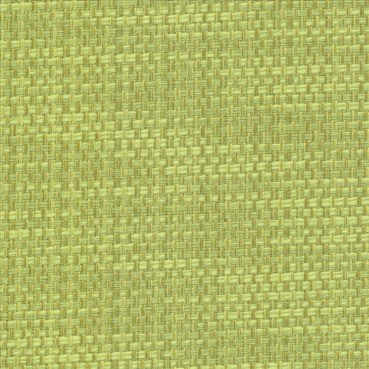 Avino Endive by Kasmir Fabric 5099 64% Cotton 36% Polyester CHINA 50,000 Wyzenbeek Double Rubs Horizontal: 0 Inches and Vertical: 0 Inches 55 - Fabric Carolina -