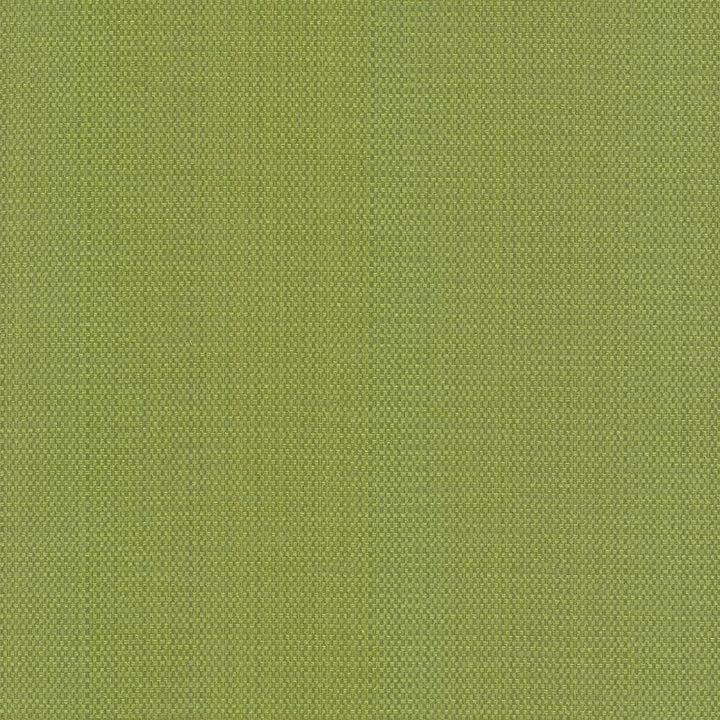 Avino Leaf by Kasmir Fabric 5099 64% Cotton 36% Polyester CHINA 50,000 Wyzenbeek Double Rubs H: N/A, V:N/A 55 - Fabric Carolina - Kasmir