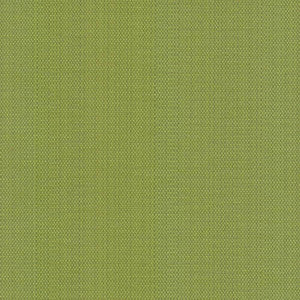 Avino Leaf by Kasmir Fabric