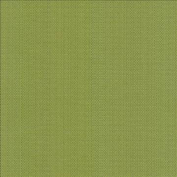 Avino Leaf by Kasmir Fabric 5099 64% Cotton 36% Polyester CHINA 50,000 Wyzenbeek Double Rubs H: N/A, V: N/A 55 - Fabric Carolina - Kasmir
