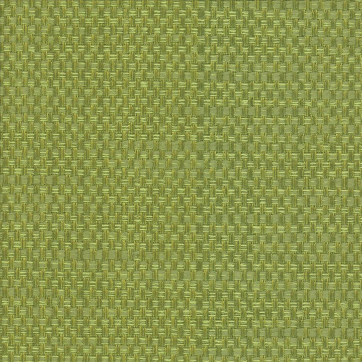 Avino Leaf by Kasmir Fabric 5099 64% Cotton
36% Polyester
 CHINA </p><p>Repeat: Horizontal: N/A and Vertical: N/A 55 - Fabric Carolina -