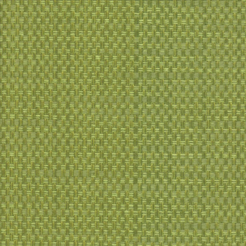 Avino Leaf  by Kasmir Fabric See sample 64% Cotton
36% Polyester
 CHINA 50,000 Wyzenbeek Double Rubs </p><p>Repeat: Horizontal: N/A and Vertical: N/A 55  - Fabric Carolina -