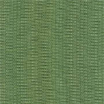 Avino Verde by Kasmir Fabric 5099 64% Cotton 36% Polyester CHINA 50,000 Wyzenbeek Double Rubs H: N/A, V: N/A 55 - Fabric Carolina - Kasmir
